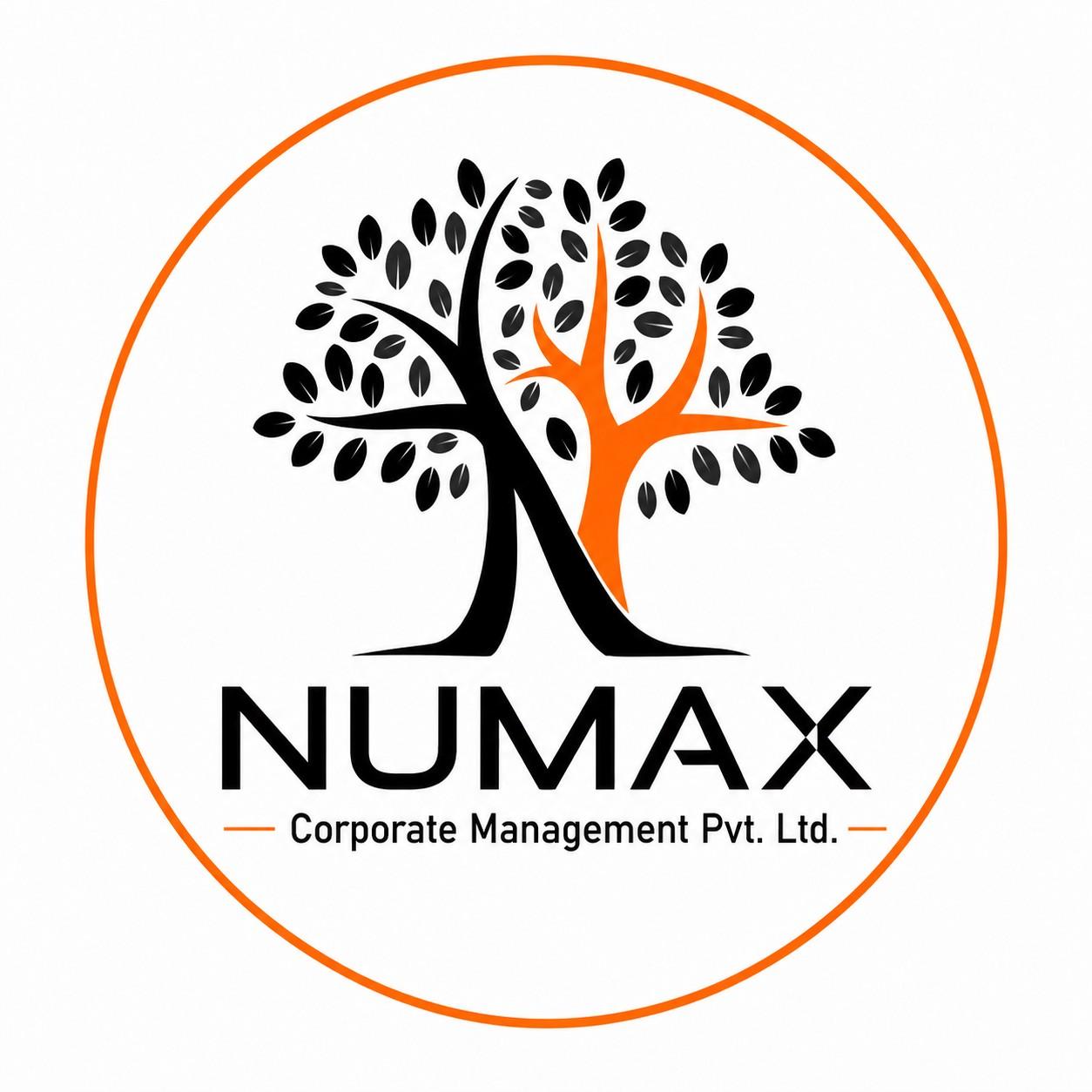 Numax Corporate Management